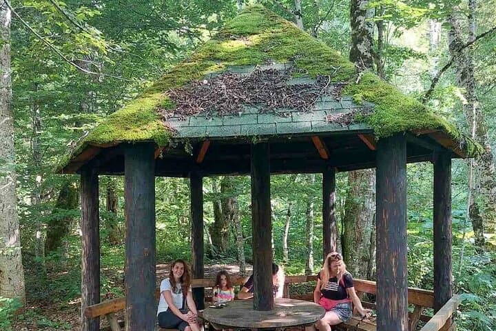 Montenegro North Tour: Biogradska Gora, Moraca Canyon & Monastery Day Trip photo 2
