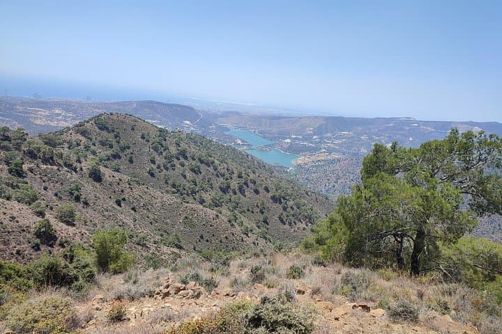Kyparissia 7–8 km Walk Above Limassol: Coastal Vistas and Cypress Stands