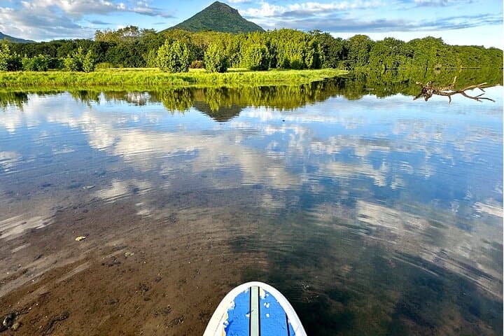 SUP the Tamarin River: Guided Paddle Through Mauritian Mangroves photo 5