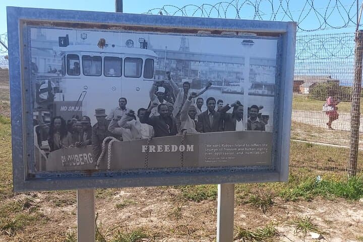 Robben Island and Table Mountain: Full-Day Private Tour from Cape Town photo 3