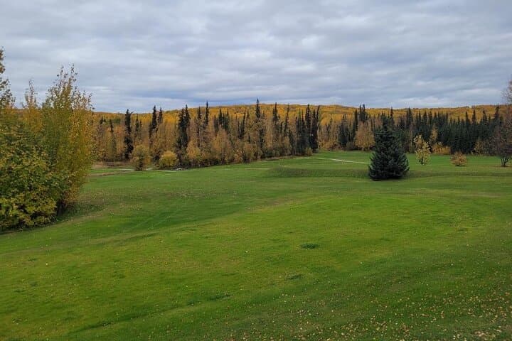 Midnight Sun Golf: 3-Hour 9-Hole Fairbanks Arctic Golf Experience photo 2