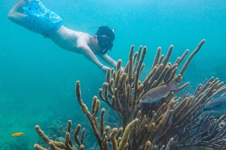 Punta Cana Catamaran Snorkel & Floating Kitchen: Coral Gardens to Natural Pools photo 6