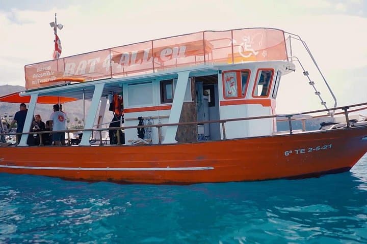 Accessible Cetacean Cruise in Tenerife: Private 3-Hour Boat Tour photo 6