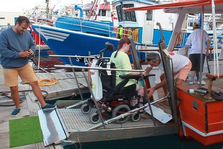 Accessible Whale & Dolphin Boat Tour — 3-Hour Tenerife Wildlife Cruise photo 3
