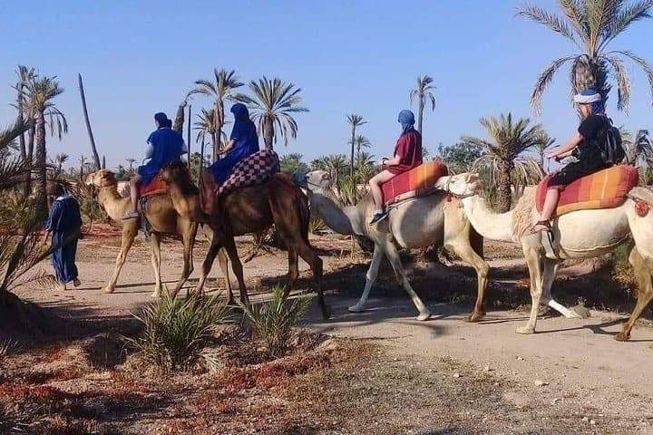 Half-Day Camel Ride in Marrakech Palmeraie: Palm Grove Trek from the Medina photo 4