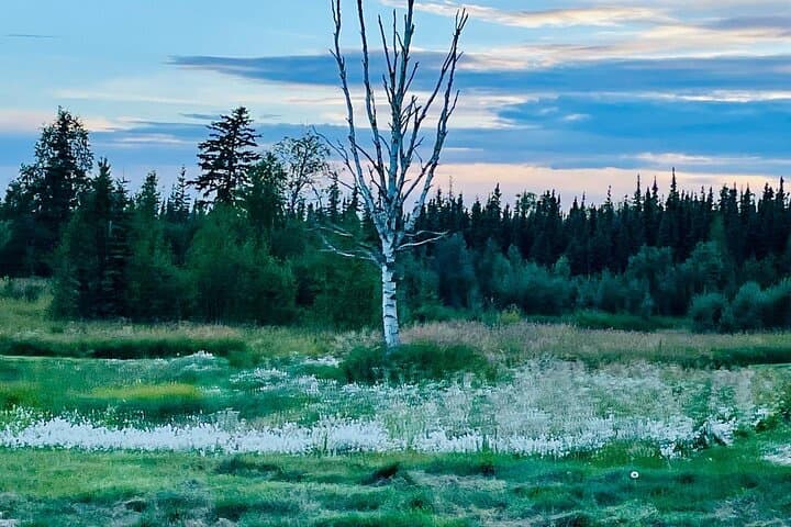 Golfing the Midnight Sun: Playing the Northernmost USGA Course in Fairbanks photo 4