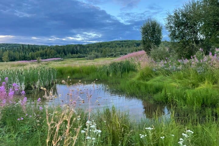 Golfing the Midnight Sun: Playing the Northernmost USGA Course in Fairbanks photo 6