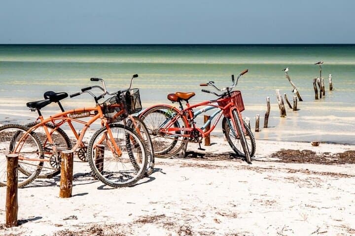 Holbox Island Full-Day Tour: Cenote Swim, Isla de la Pasión & Beach Lunch photo 2