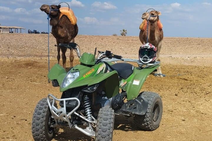 Sunset Quad and Camel Experience in Marrakech Palmeraie photo 3