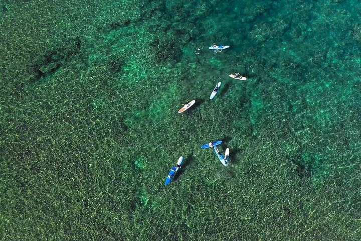 Private North Shore Surf Lessons for Small Groups — 2-Hour Beginner Session photo 4