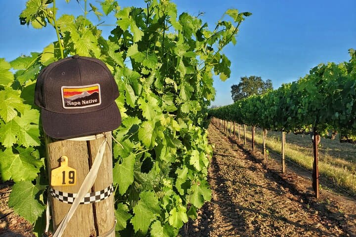 Private Napa Valley Wine Tour: The Napa Native Experience with Winemaker Lunch photo 4
