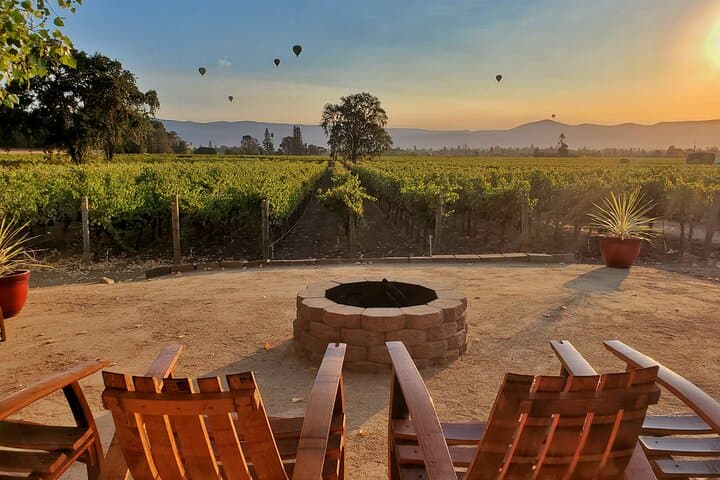 Private Napa Valley Wine Tour: The Napa Native Experience with Winemaker Lunch photo 6