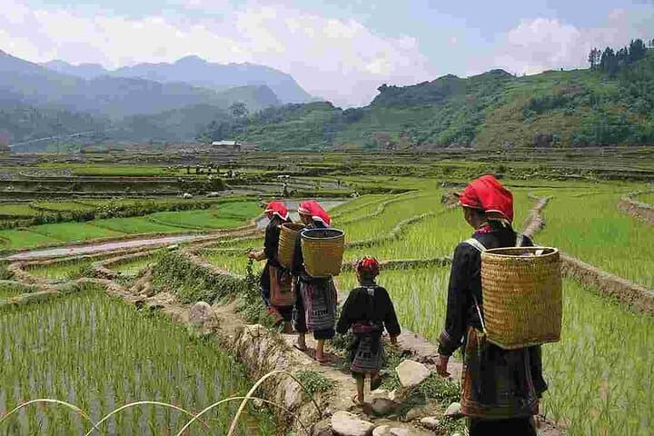 Sapa 2-Day Trek: Muong Hoa Valley Homestay from Y Linh Ho to Ta Van photo 3
