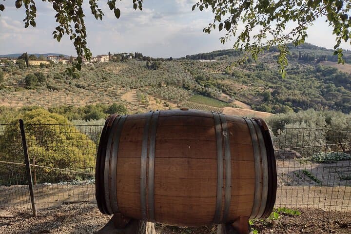 Chianti Eno-Excursion: Walking the Vineyards and Tasting Wines at Montefioralle photo 5