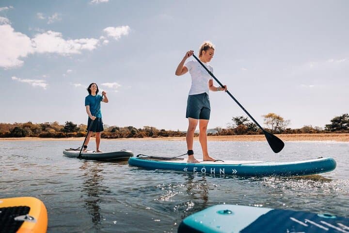 Stand-Up Paddle Board Rental on Batumi's Black Sea Coast