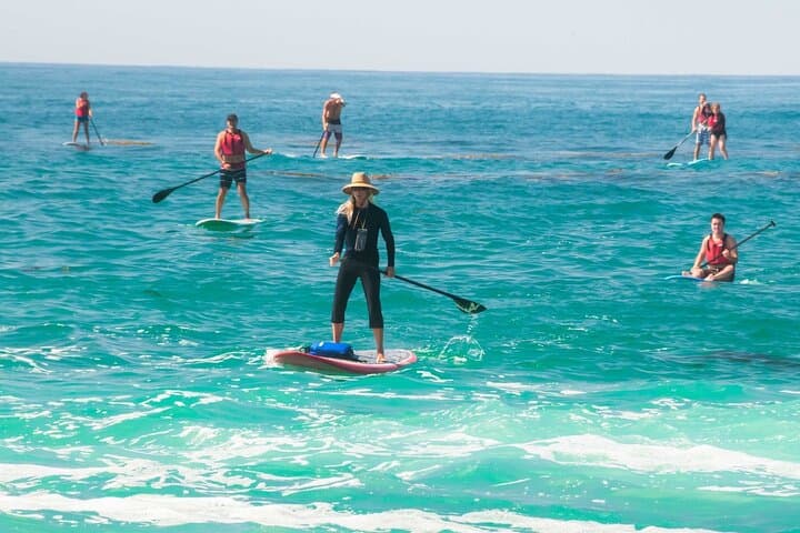 Stand-Up Paddle Board Rental on Batumi's Black Sea Coast photo 5