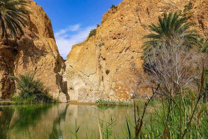 Half-Day Tozeur Canyons: Tamerza, Chebika & Mides Oasis Tour photo 6