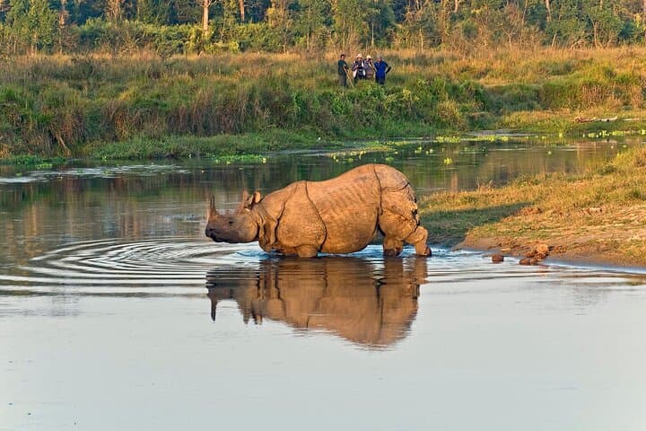 7-Day Private Nepal Tour: Kathmandu, Pokhara & Chitwan Highlights photo 6
