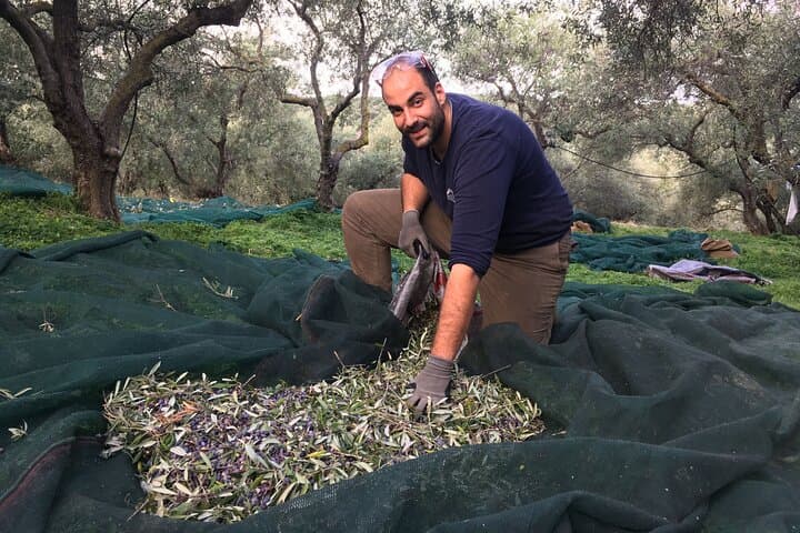 Crete Olive Oil Immersion: Ancient Trees and Organic Fruit Tasting photo 2
