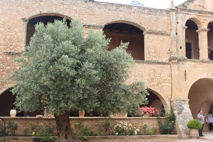 Crete Olive Oil Immersion: Ancient Trees and Organic Fruit Tasting