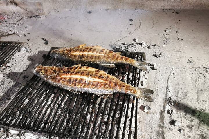 Peljesac Wine, Ston Walls and Salt Pans Day Tour from Dubrovnik photo 3
