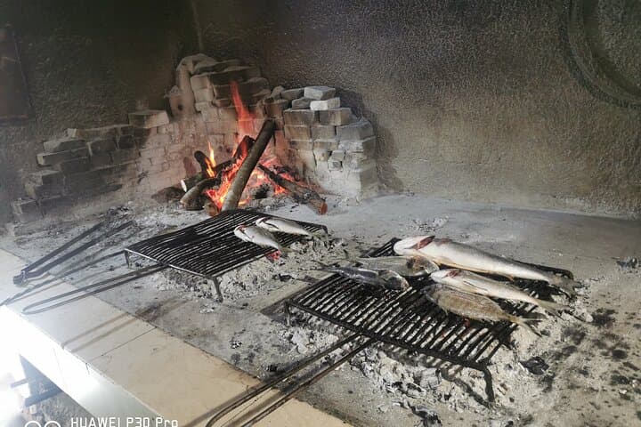 Peljesac Wine, Ston Walls and Salt Pans Day Tour from Dubrovnik photo 4
