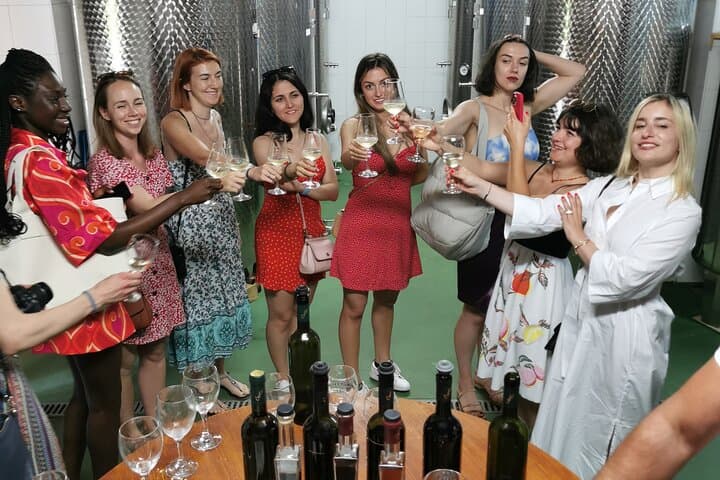 Peljesac Wine, Ston Walls and Salt Pans Day Tour from Dubrovnik photo 1