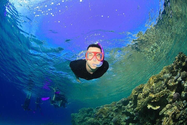 Full-Day Yacht Snorkel to Tiran Island from Sharm el-Sheikh photo 4