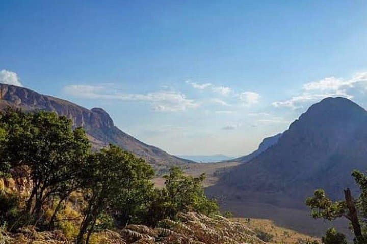 Waterberg 3-Day Private Wildlife and Adventure Tour from Johannesburg