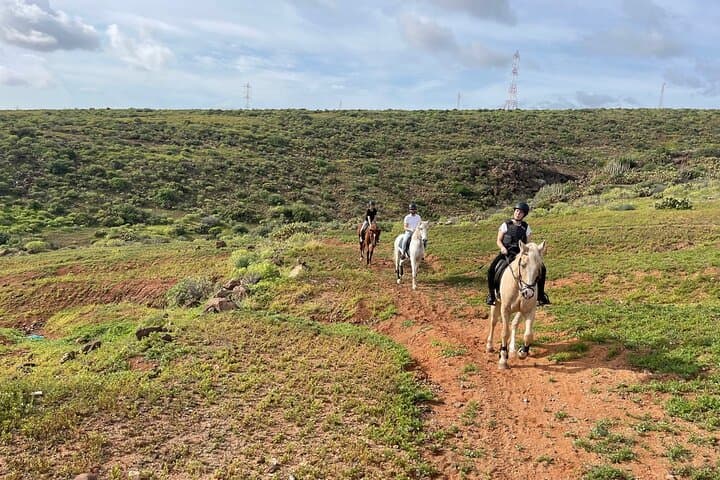 Ocean-and-Mountain-Horseback-Ride-at-Cuatro-Puertas-Gran-Canaria photo 3
