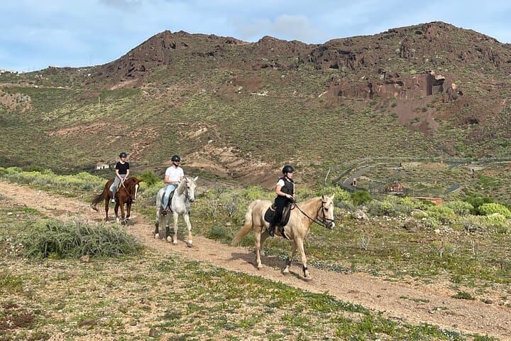 Ocean-and-Mountain-Horseback-Ride-at-Cuatro-Puertas-Gran-Canaria photo 4