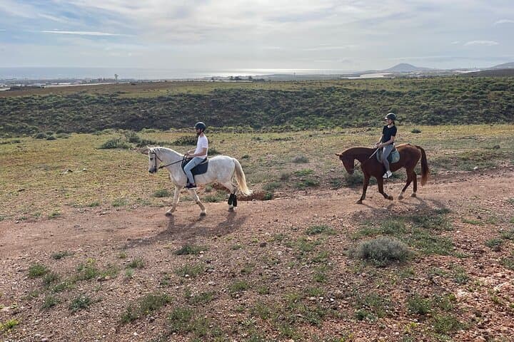 Ocean-and-Mountain-Horseback-Ride-at-Cuatro-Puertas-Gran-Canaria photo 5