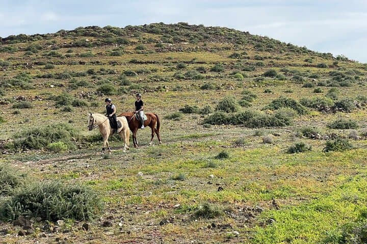 Ocean-and-Mountain-Horseback-Ride-at-Cuatro-Puertas-Gran-Canaria photo 6