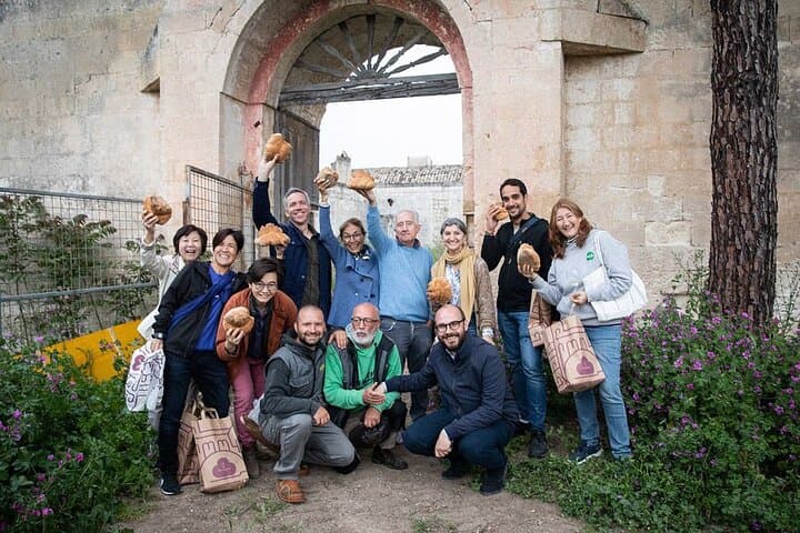 Matera Olive Groves and Cialledda: Hands-On Food & Wine Lab