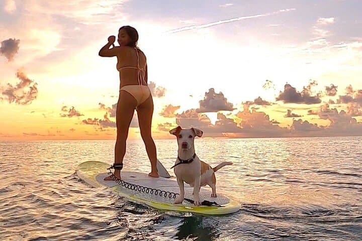 Sunrise Stand-Up Paddleboarding in Playa del Carmen — Riviera Maya Paddle Tour photo 3
