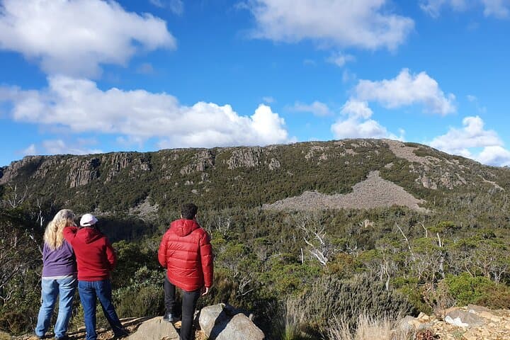 Hobart to the Great Lake: High Country Day Tour to Waddamana & Pine Lake photo 3