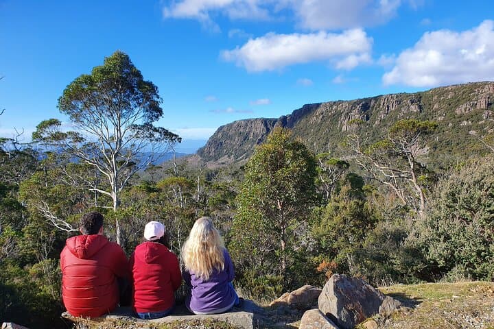 Hobart to the Great Lake: High Country Day Tour to Waddamana & Pine Lake photo 4