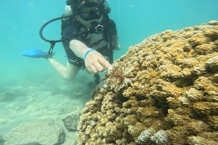 Beginner Scuba Diving in Honolulu at Magic Island Lagoon (Free Video Package) photo 3