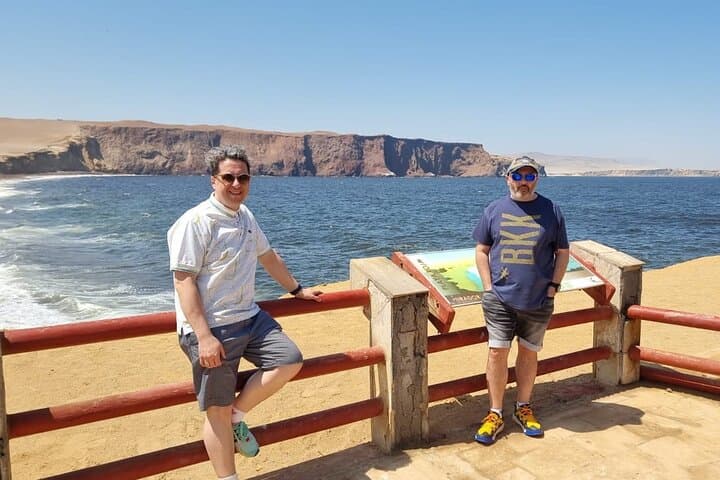 Ballestas Islands & Paracas National Reserve: Full-Day Private Tour from Lima