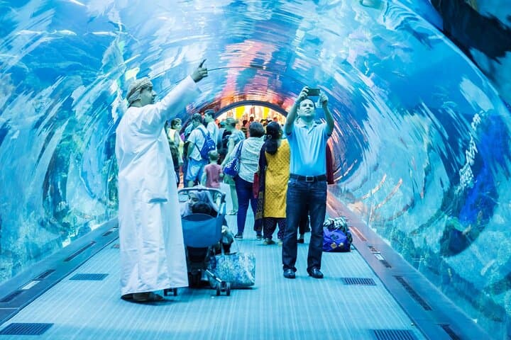 Inside Dubai Aquarium: A Practical Guide to the 10-Million-Litre Underwater World photo 2