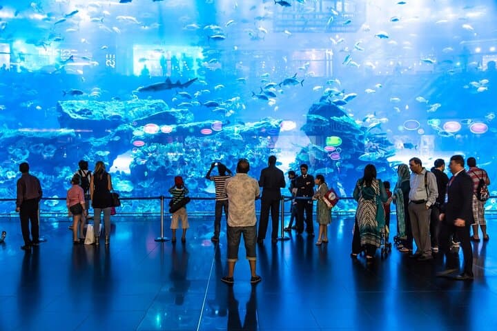 Inside Dubai Aquarium: A Practical Guide to the 10-Million-Litre Underwater World photo 3