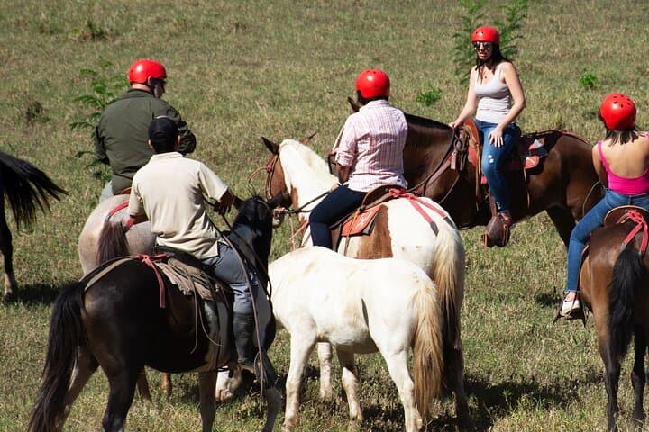 Tarcoles Ranch Ride: 2-Hour Private Horseback Adventure Near Carara photo 4