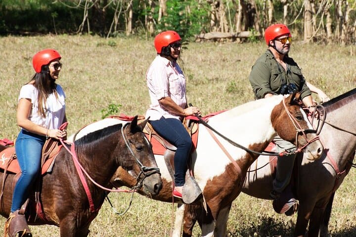 Tarcoles Ranch Ride: 2-Hour Private Horseback Adventure Near Carara