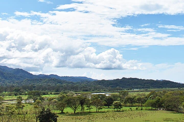 Tarcoles Ranch Ride: 2-Hour Private Horseback Adventure Near Carara photo 3