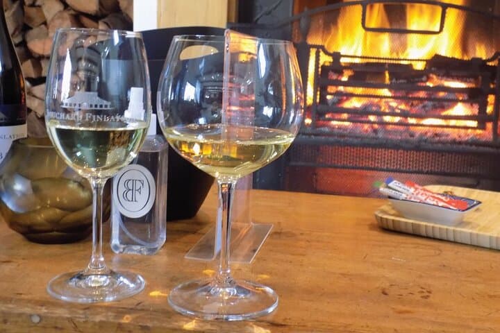 Full-Day Whale Watching and Hemel-en-Aarde Wine Tour from Cape Town photo 6