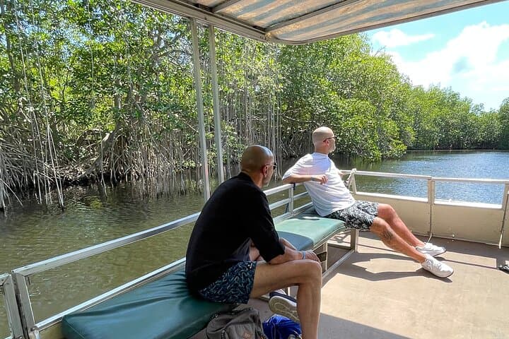 Negril Day Trip to YS Falls, Black River Safari & Pelican Bar photo 2