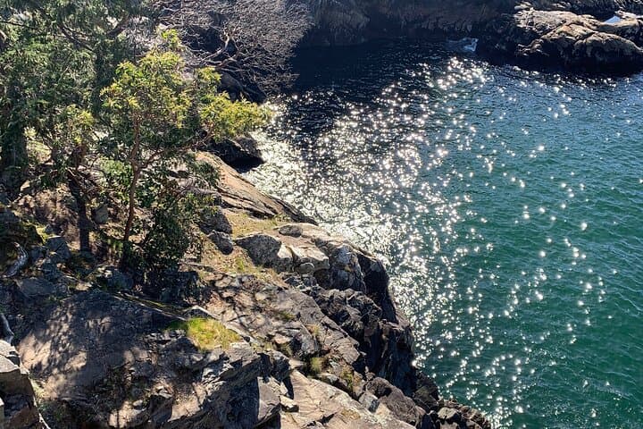 Coastal Old-Growth and Sea Views: Lighthouse Park Hike from Vancouver photo 4