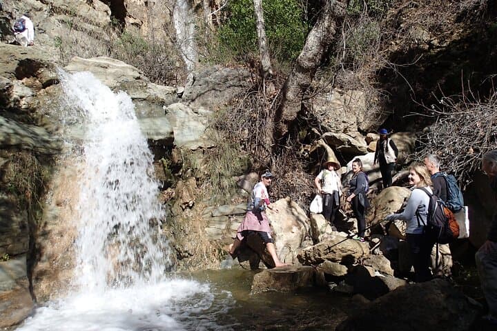 Guided Nature Walks Near Disneyland: Plant & Wildlife Identification Tours in Anaheim