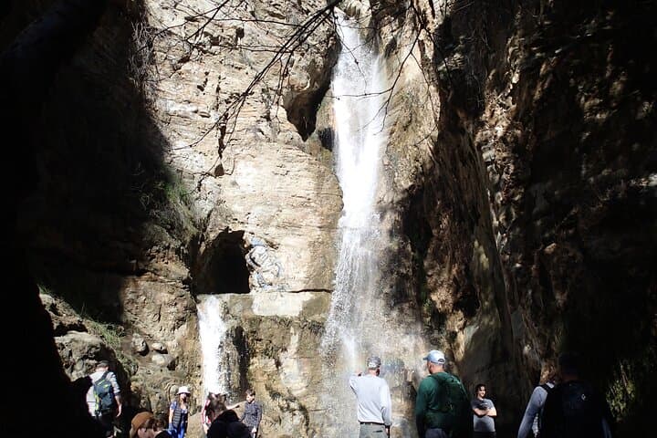 Guided Nature Walks Near Disneyland: Plant & Wildlife Identification Tours in Anaheim photo 3