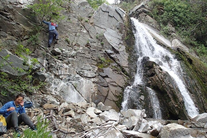 Guided Nature Walks Near Disneyland: Plant & Wildlife Identification Tours in Anaheim photo 4